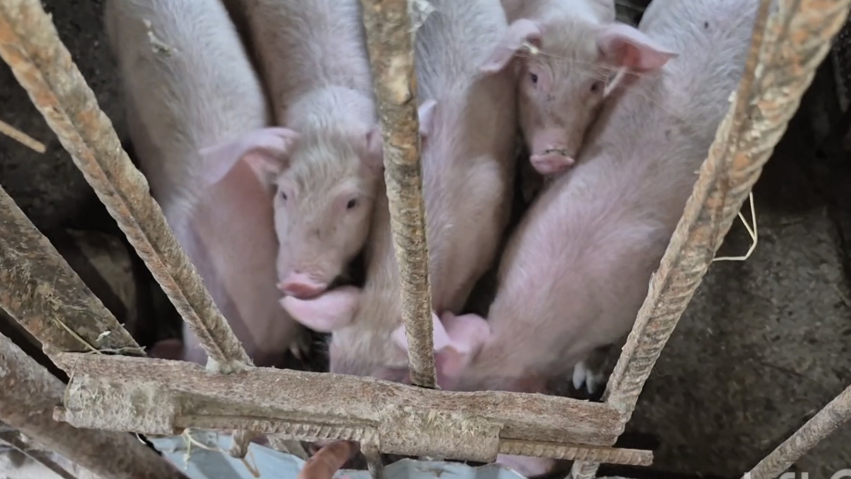 Алтай,Сибирь,Заринск,Влог