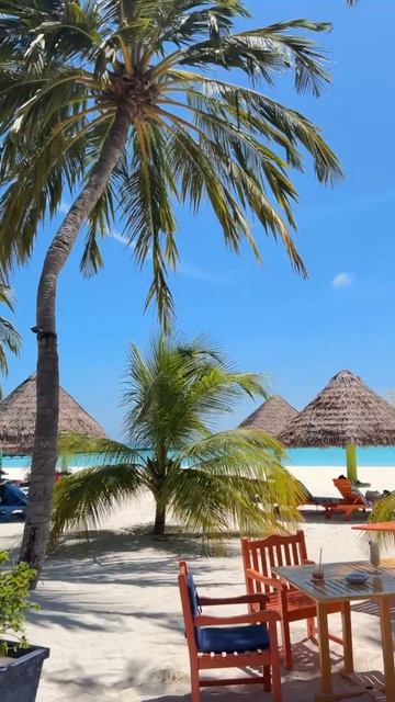 VID_20250811_164310_644.mp4