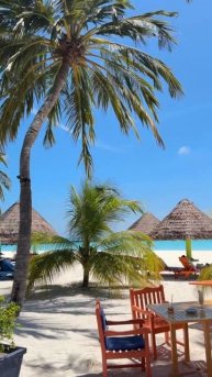 VID_20250811_164310_644.mp4