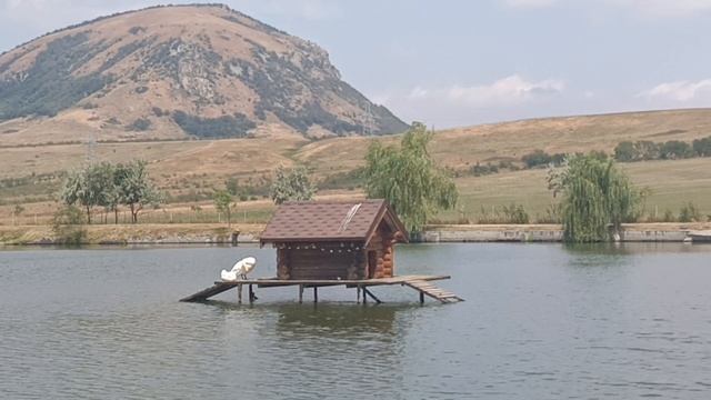 Лебединый дом на озере🦢🦢