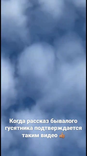 На рассказе  / Охота на гуся
