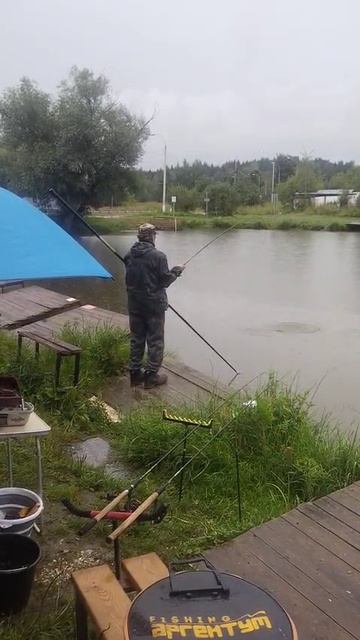 Светлые Горы Сом 11.08.2025г.