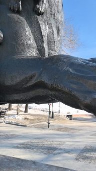 Бабр Иркутск