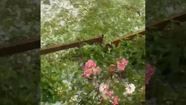 🧊Огромный град выпал в Луховицах🧊