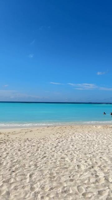 VID_20250811_212134_439.mp4