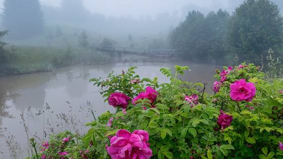 "ЕЩЁ ОДИН ЛЕТНИЙ ЭТЮД"... (Фото Сергея БУТОРИНА (Кирово-Чепецк), музыка Майкла ХОППА (Мексика))