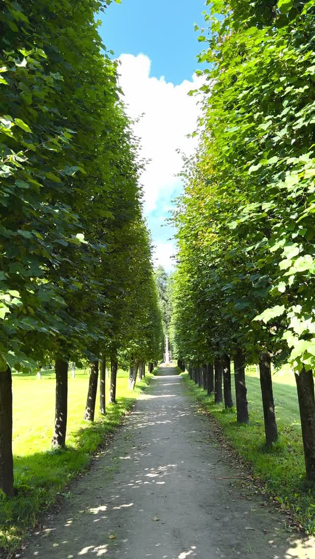 Летняя симфония парка Архангельское!