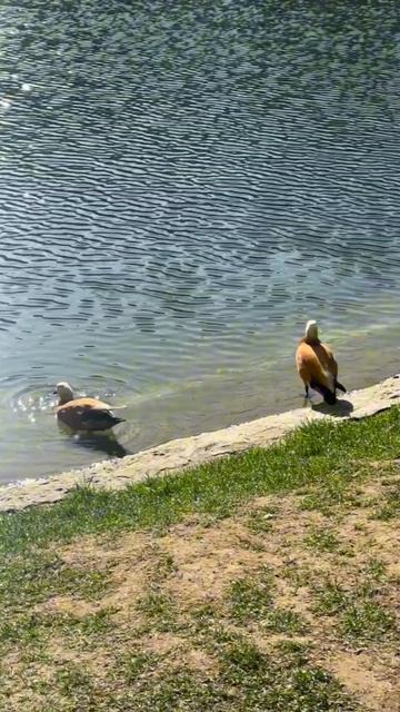 Природа Москвы - место силы и вдохновения круглый год 🌄❤️🔥