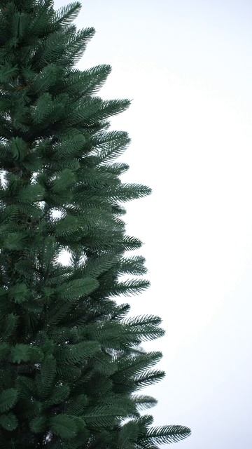 🎄ёлка узкая Слим 150 см | ОПТ от 50к | Доставка по России | елки от 480₽ | в профиле ссылка на сайт