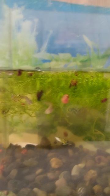 небольшой обзор