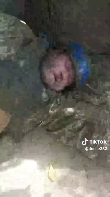 Налачался горилки и ждет перемоги