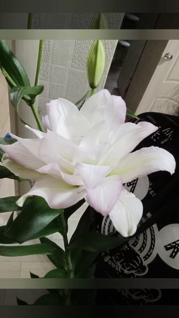 Пришёл один из самых любимых дней в году. день рождения моей дочери.
И вот очередной декор.