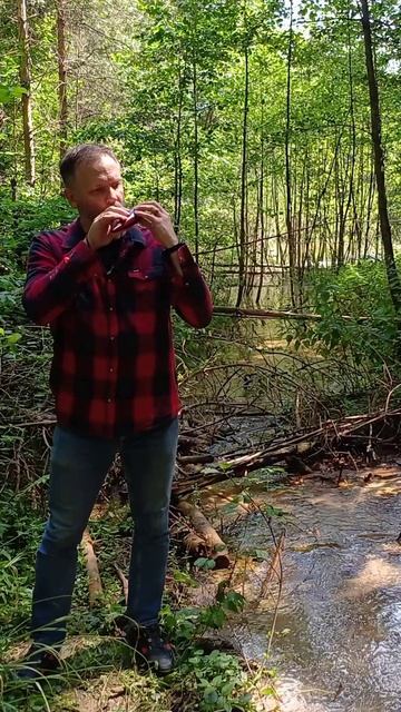 Утро. Эдвард Григ.