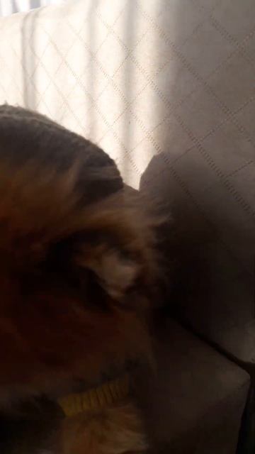 17 ноября 2023 г.