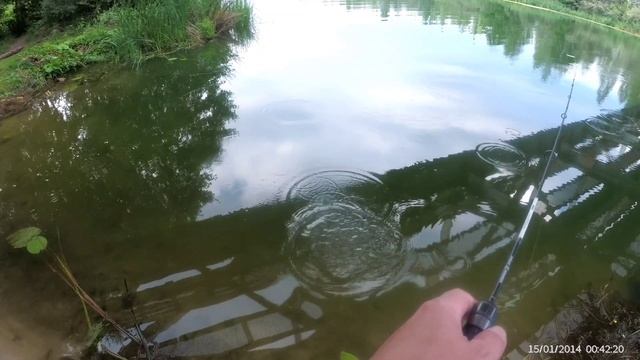 Окунь на мини воблер