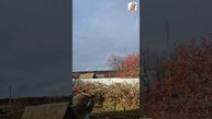 Пушинка зажгла в Небе радугу 🌞🌈💓🙏😻