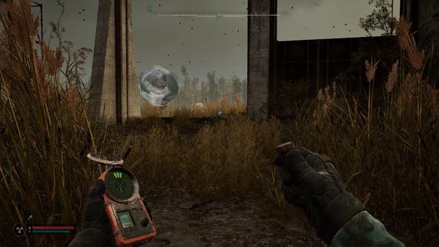 S.T.A.L.K.E.R. 2 -Лунный свет