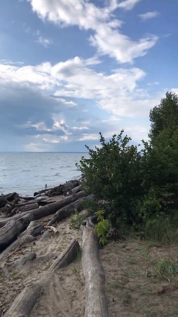 Кажется, дождь собирается в Бердске на Обском водохранилище #бердск #кажетсядождьсобирается