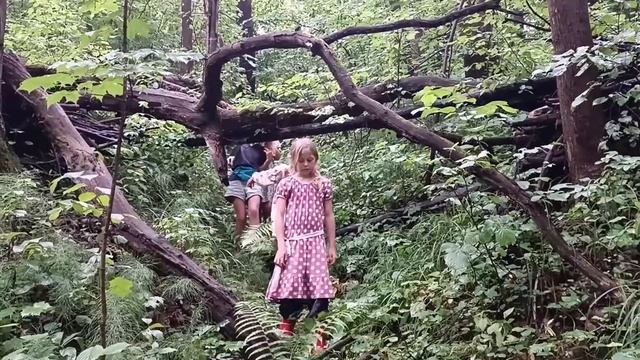 КОЗЛИНЫЙ ПИРОГ