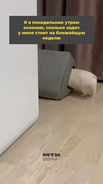 😥 Как у вас сегодня с делами?