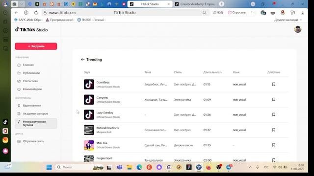обзор TikTok
