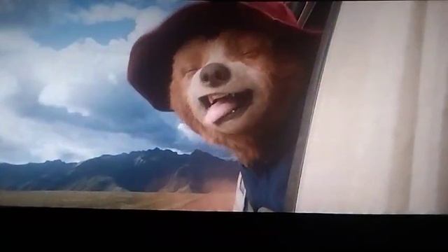 приключения паддингтона