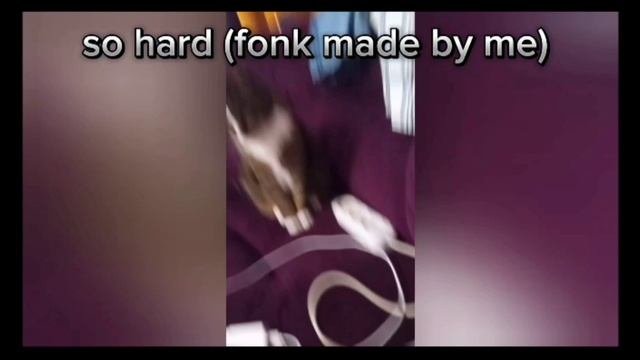 Елисей Пьянков - песня SHF ( Hard Fonk)