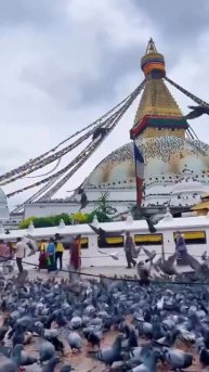 Тибет, Индия, Непал, Бутан и другие страны уже ждут тебя ✈️