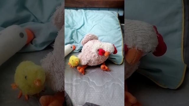 курица🐔 с перепелов