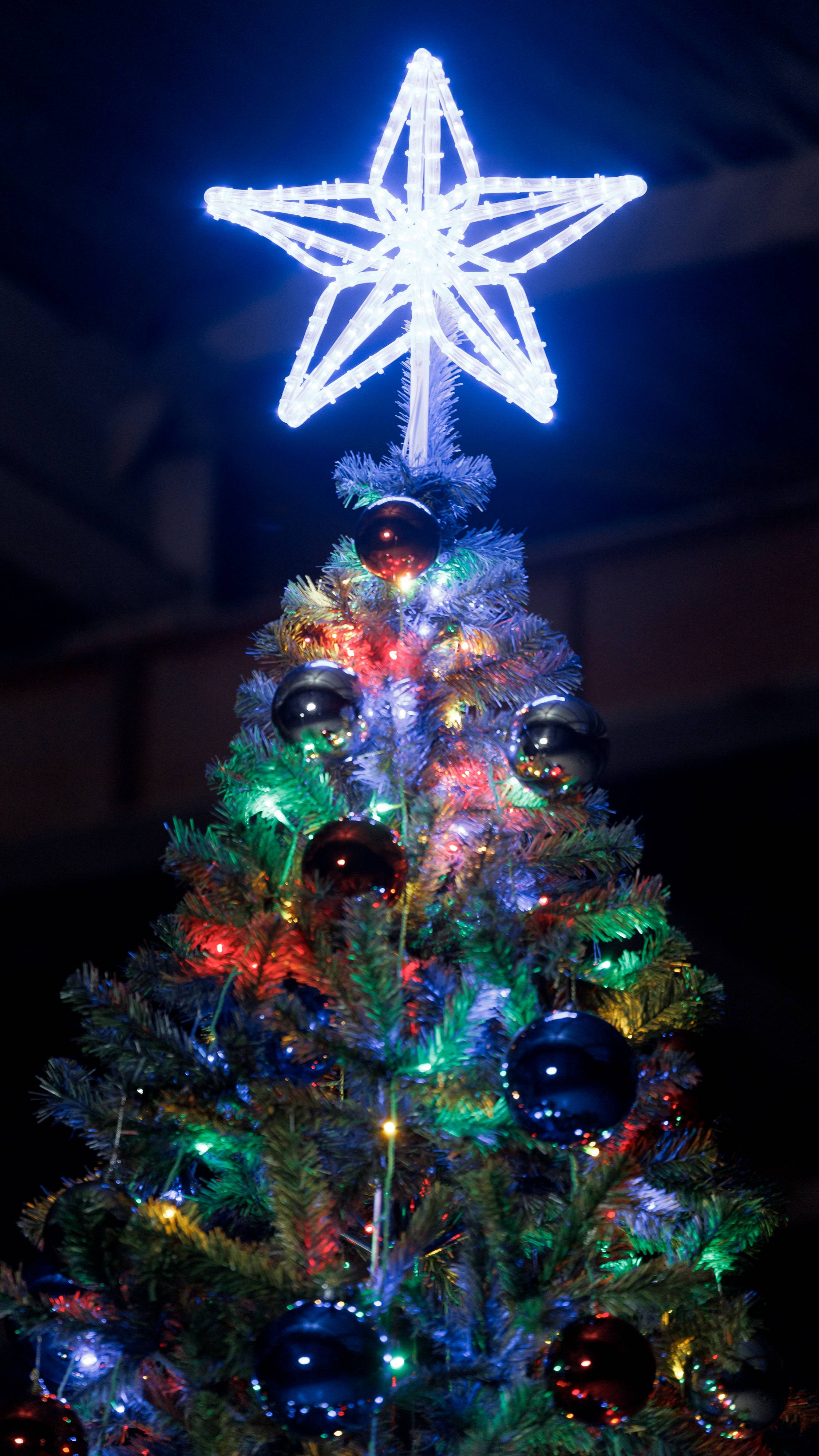 Готовый комплект оформления уличной ели МАГИЯ СЕВЕРА