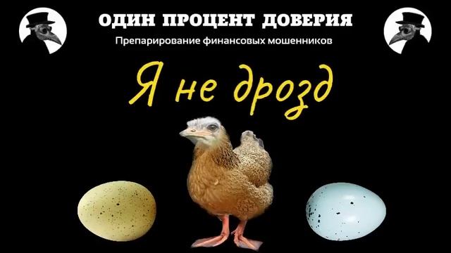 Я не дрозд, но пойду уточню