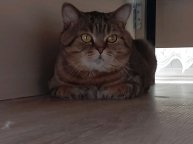 играю в игры