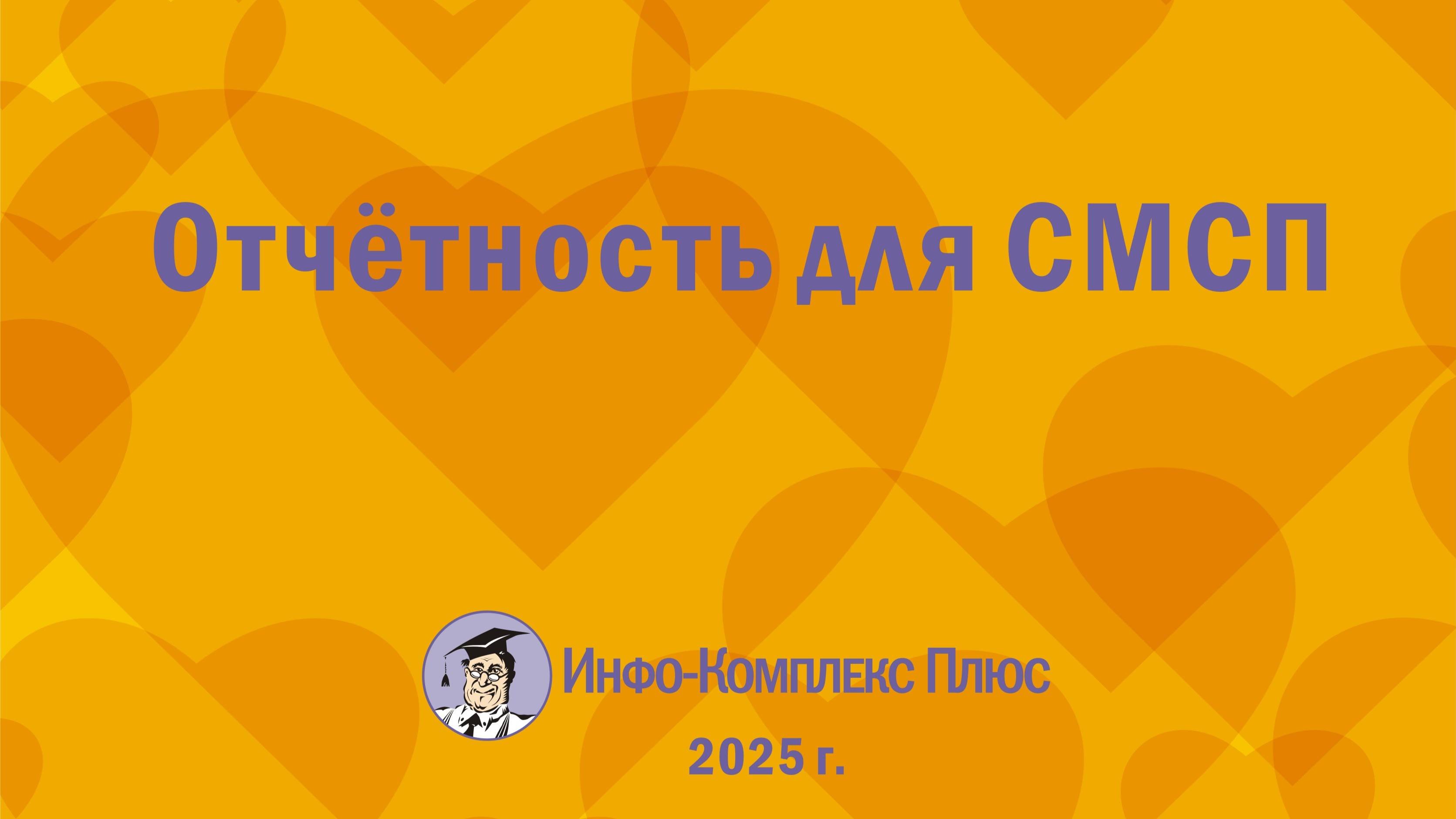 2025-08 МСП Отчётность
