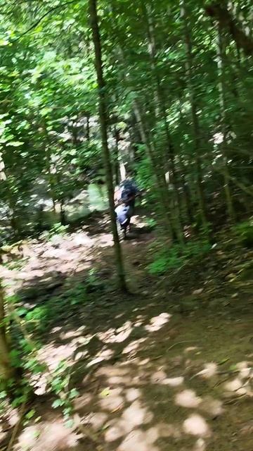 Грибное место в Краснодарском крае #грибы #природа #поход