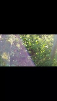 река Верхулька на Клязьме