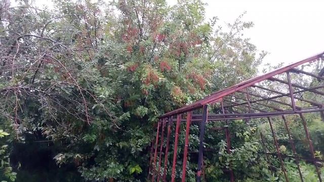 Непогода заехали к брату на дачу