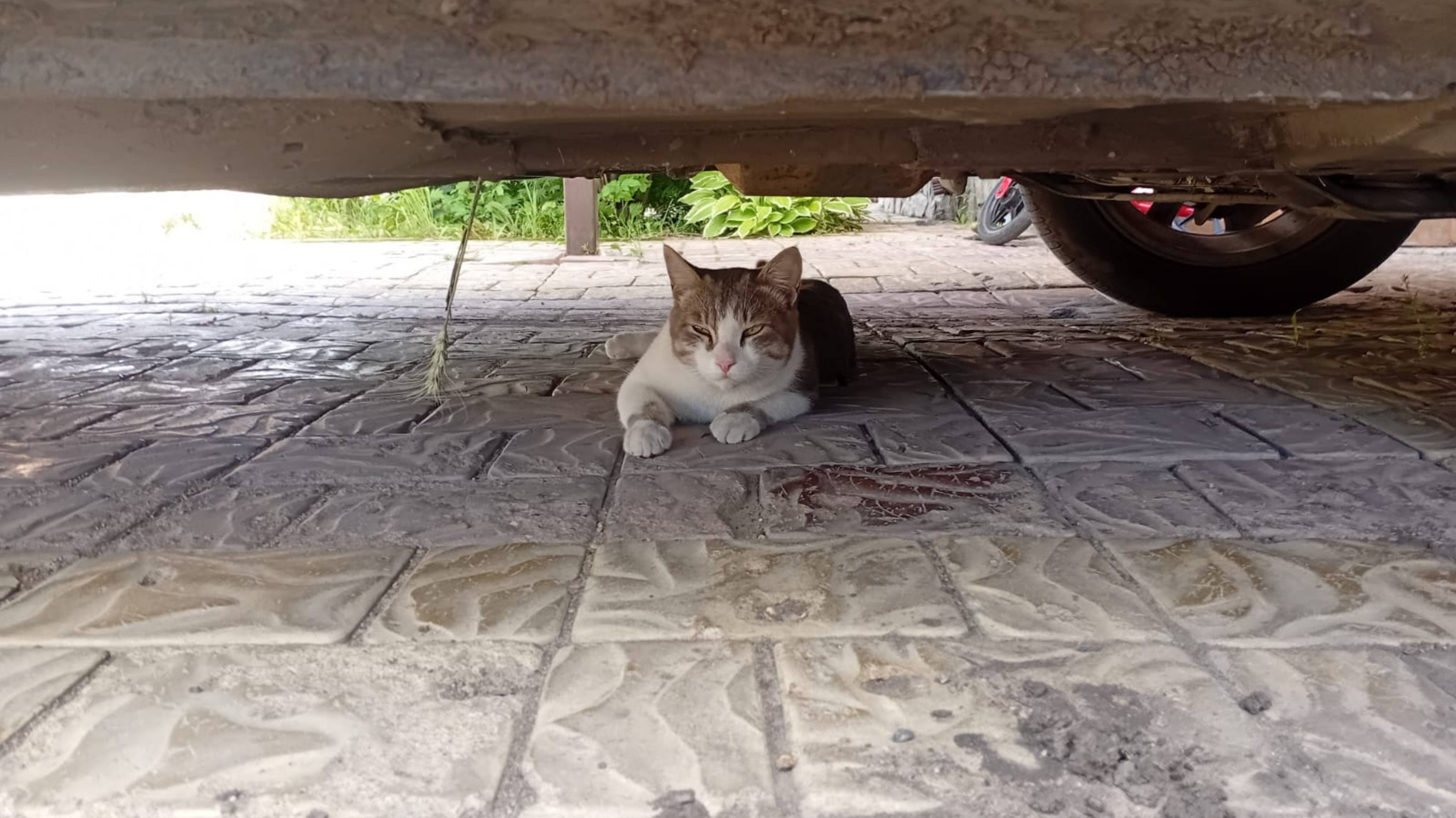 #КВАДРОБИКА#ПРЫЖОК#БАТУТ