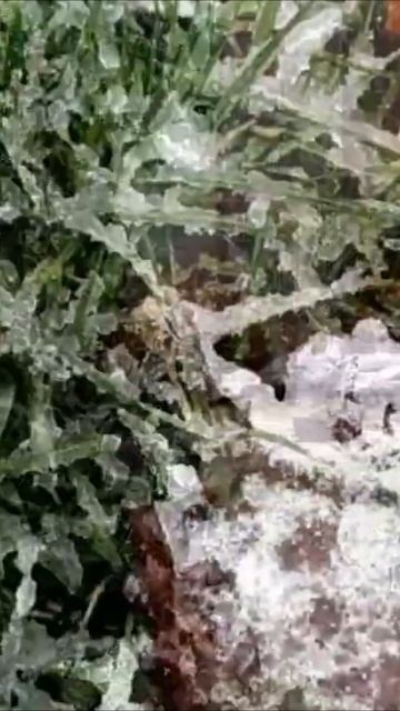 Зима спешит с ближайшею оказией забрать морозный дух из наших тел