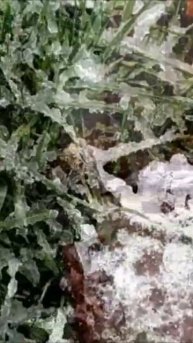 Зима спешит с ближайшею оказией забрать морозный дух из наших тел