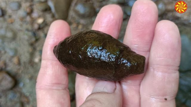 Конкреции и фрагмент окаменелого дерева
 🔥🔥🔥