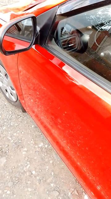 авторские окраски Kia Rio