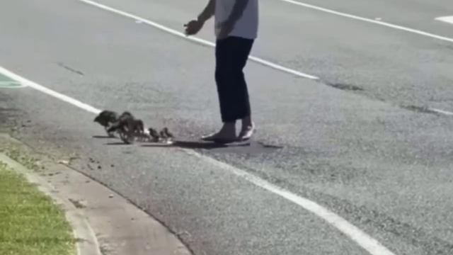 Добрый дядя Степа великан🦆🥰