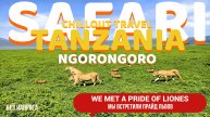 CHILLOUT TRAVEL TANZANIA NGORONGORO SAFARI БЕЗ НАПРЯГА