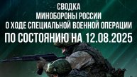 СВОДКА 12.08.2025 МИНОБОРОНЫ РФ О ХОДЕ ПРОВЕДЕНИЯ СВО. Новости
