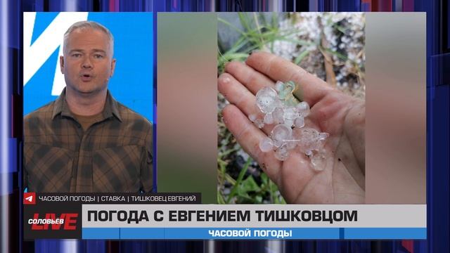 Часовой погоды | 12 августа 2025 года