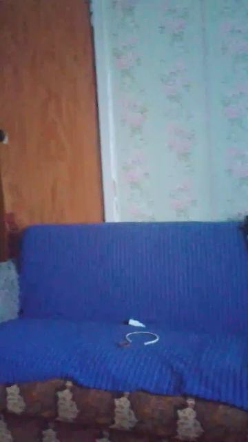 развлекательный контент