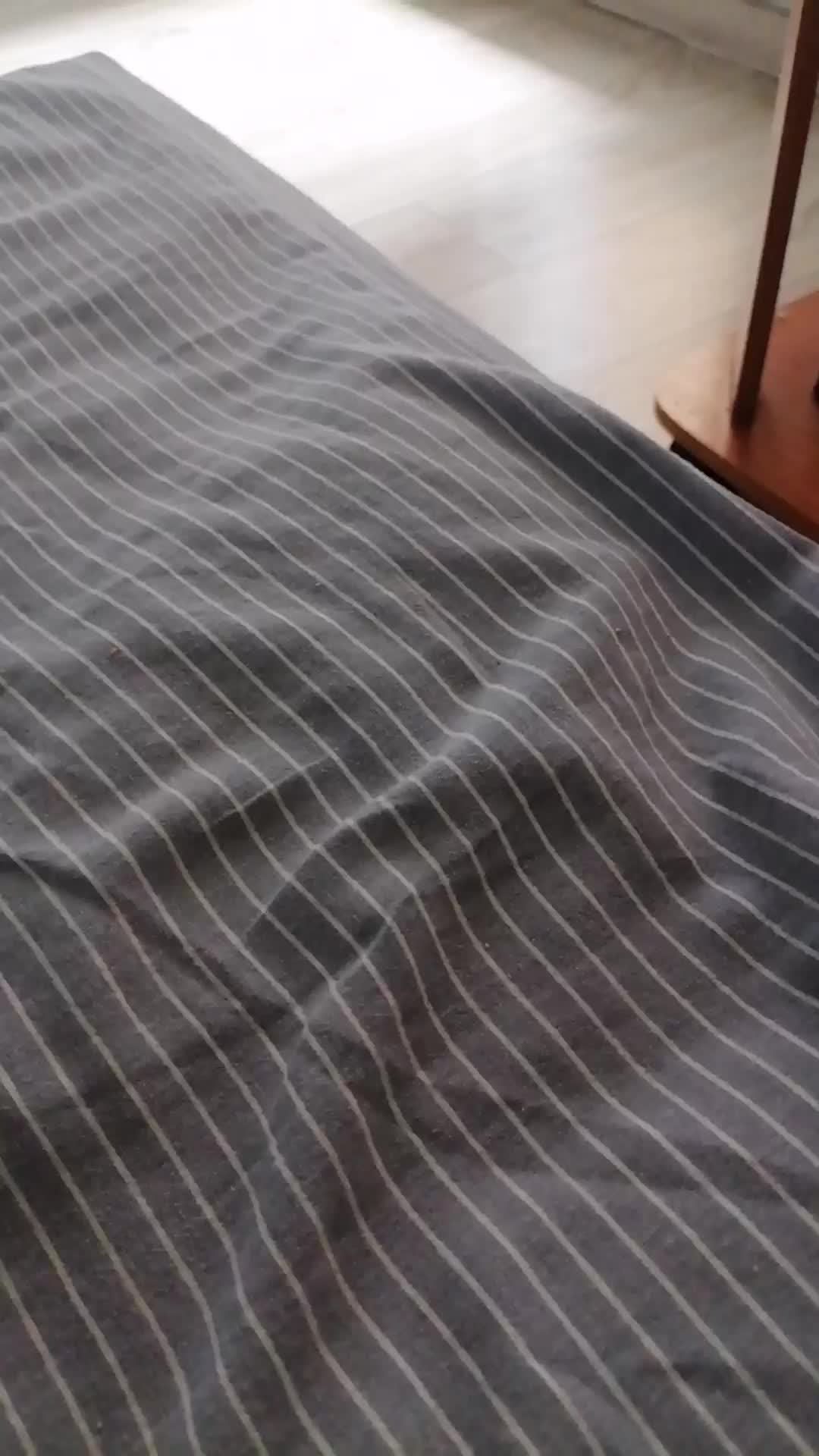 Идите все в игру Kltten Game