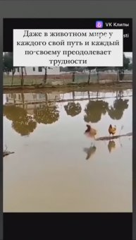 У каждого свой путь😂
