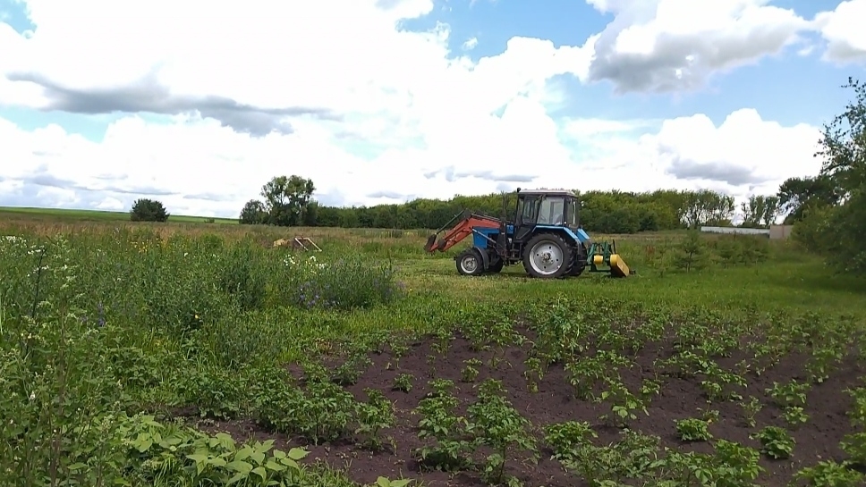 Однажды погожим деньком к нам приехали косить траву