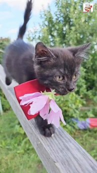 Единственная моя 💐💓🐈⬛